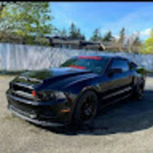 Meet your Posher, Noah